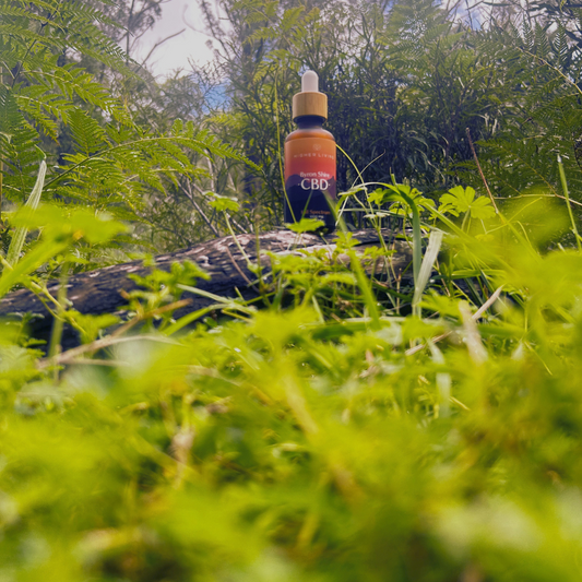 How does CBD oil work?